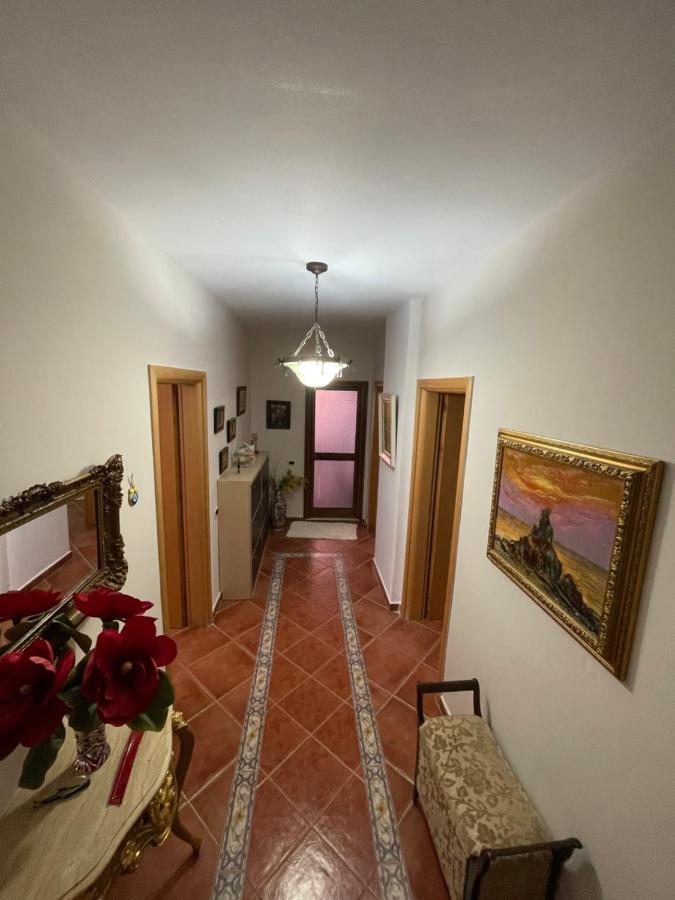 Venus - Cozy Apt With Terrace Vlorë Exteriör bild