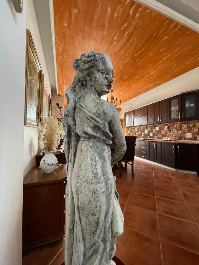 Venus - Cozy Apt With Terrace Vlorë Exteriör bild